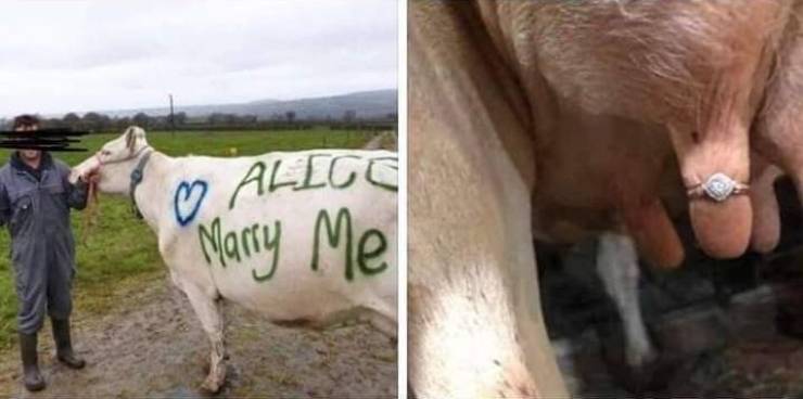 daily picdump 96 pics 11.html - 96 HD Photos | Premium Gallery 2019