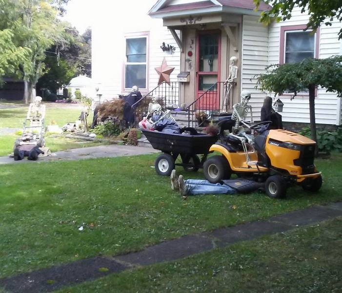 daily picdump 96 pics 11.html - 96 HD Photos | Premium Gallery 2019