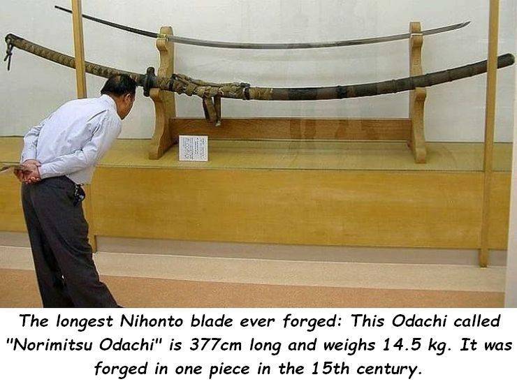 daily picdump 96 pics 11.html - 96 HD Photos | Premium Gallery 2019