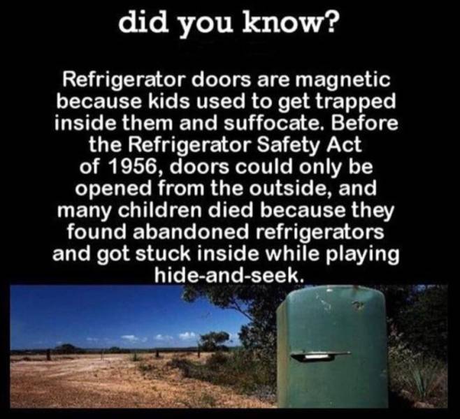 daily picdump 96 pics 11.html - 96 HD Photos | Premium Gallery 2019