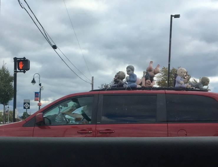 daily picdump 96 pics 11.html - 96 HD Photos | Premium Gallery 2019