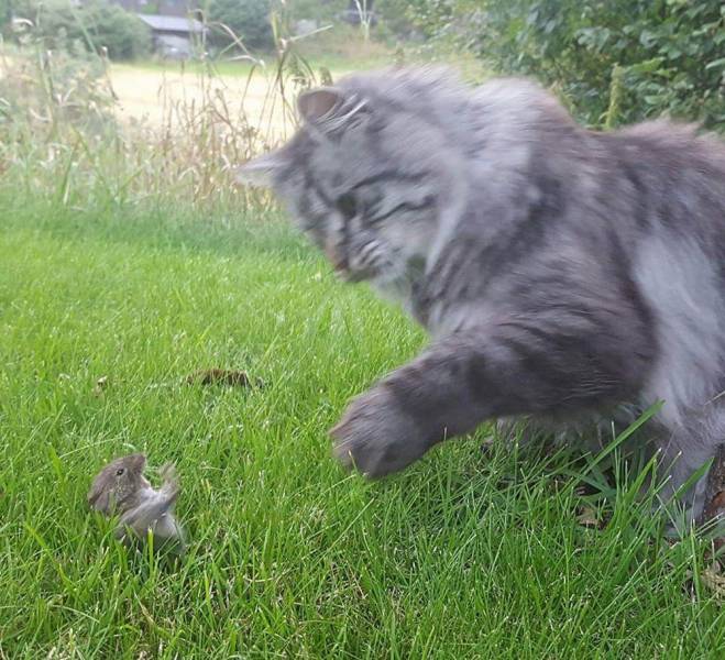 daily picdump 96 pics 11.html - 96 HD Photos | Premium Gallery 2019