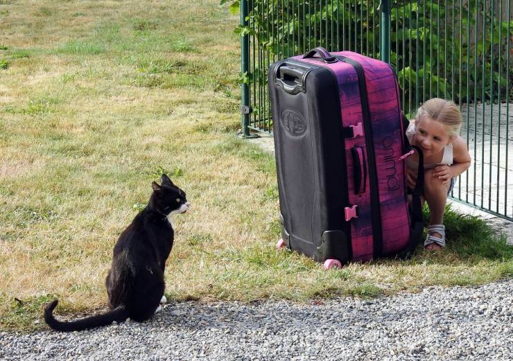 daily picdump 96 pics 11.html - 96 HD Photos | Premium Gallery 2019