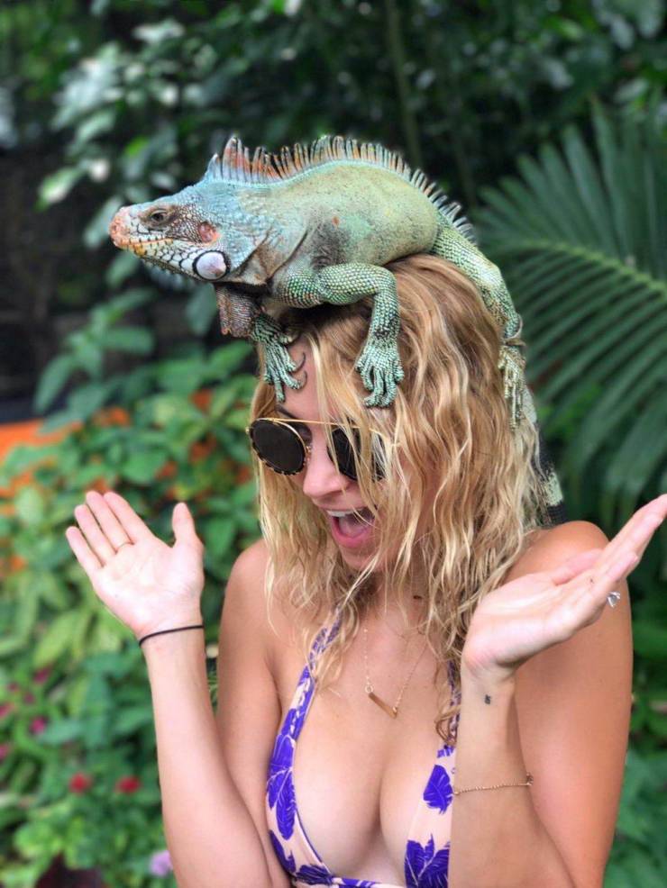 daily picdump 96 pics 11.html - 96 HD Photos | Premium Gallery 2019