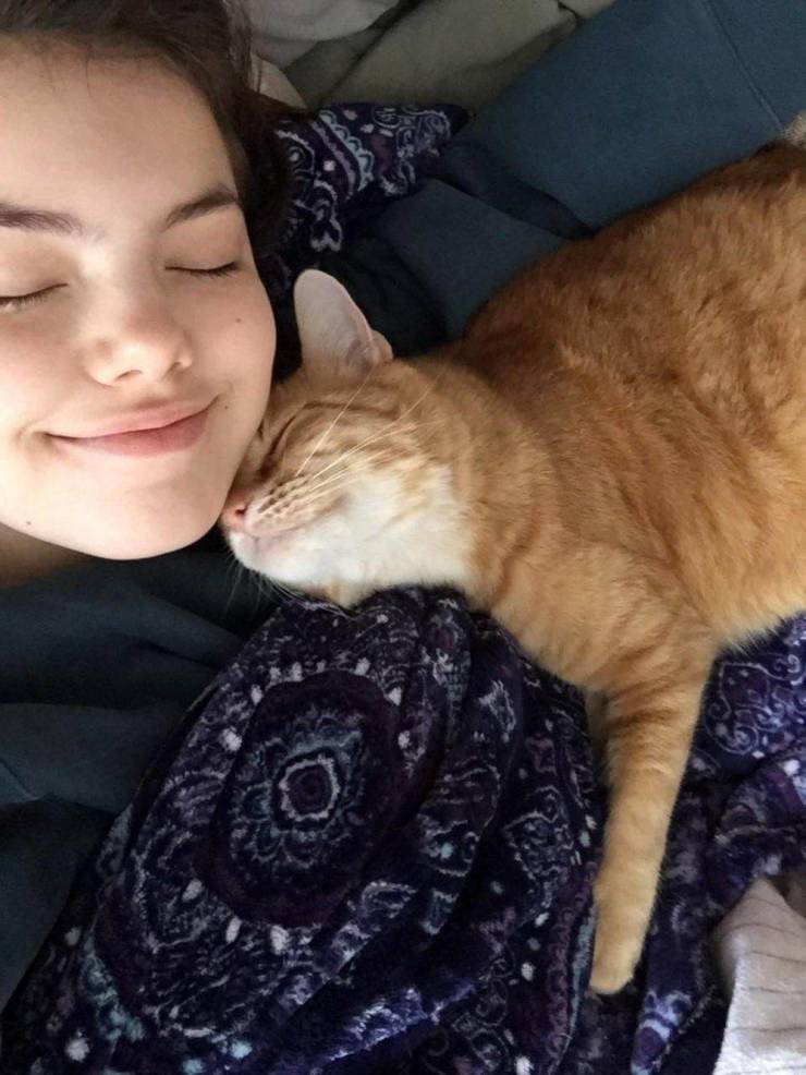 daily picdump 96 pics 11.html - 96 HD Photos | Premium Gallery 2019