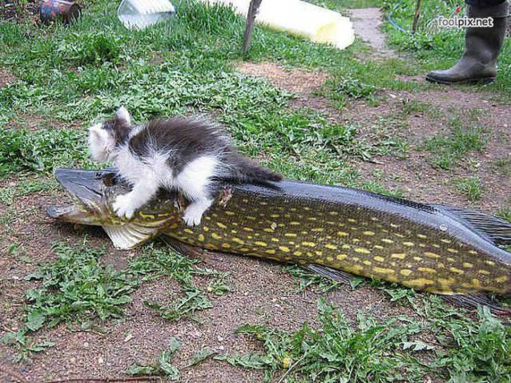 daily picdump 97 pics 12.html - 97 HD Photos | Premium Gallery 2019