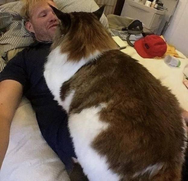 daily picdump 97 pics 12.html - 97 HD Photos | Premium Gallery 2019