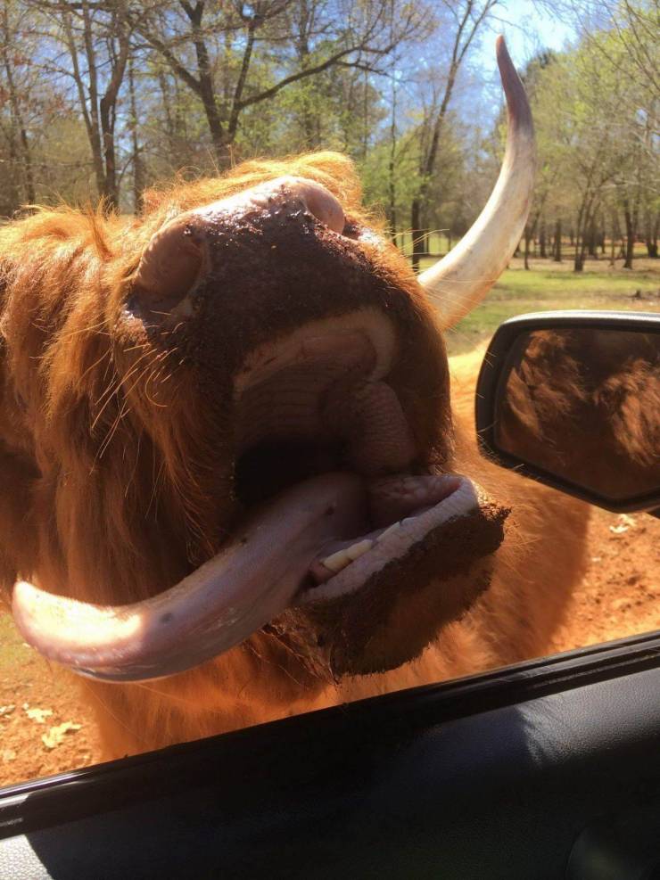 daily picdump 97 pics 12.html - 97 HD Photos | Premium Gallery 2019