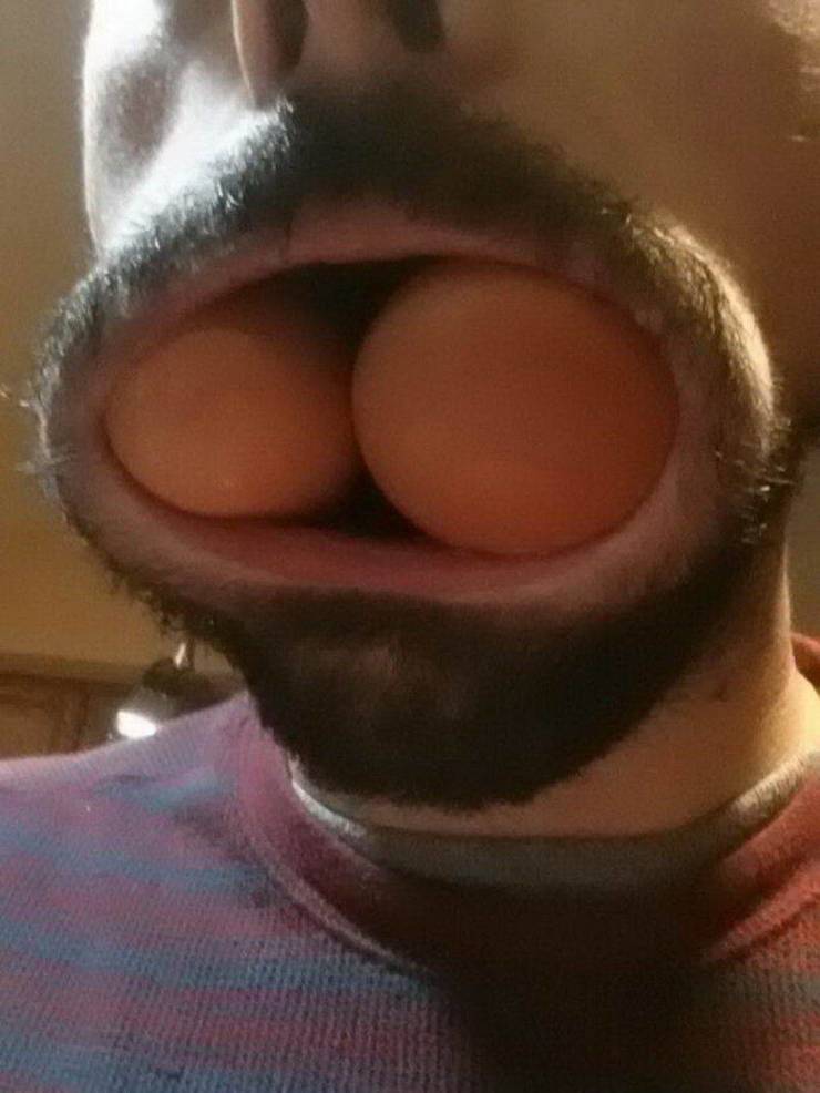 daily picdump 97 pics 12.html - 97 HD Photos | Premium Gallery 2019