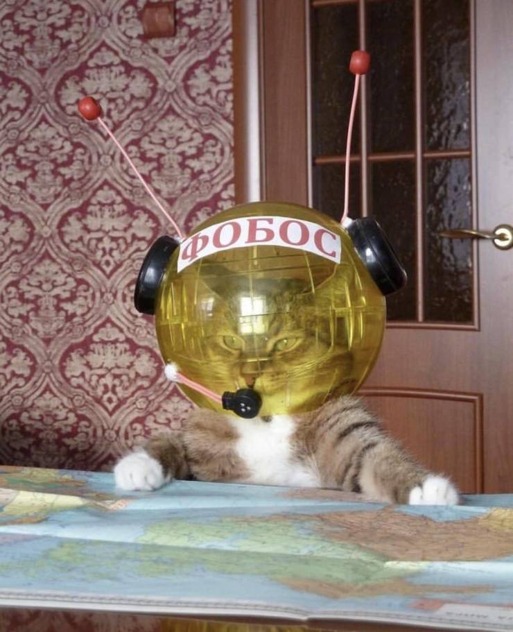 daily picdump 97 pics 12.html - 97 HD Photos | Premium Gallery 2019