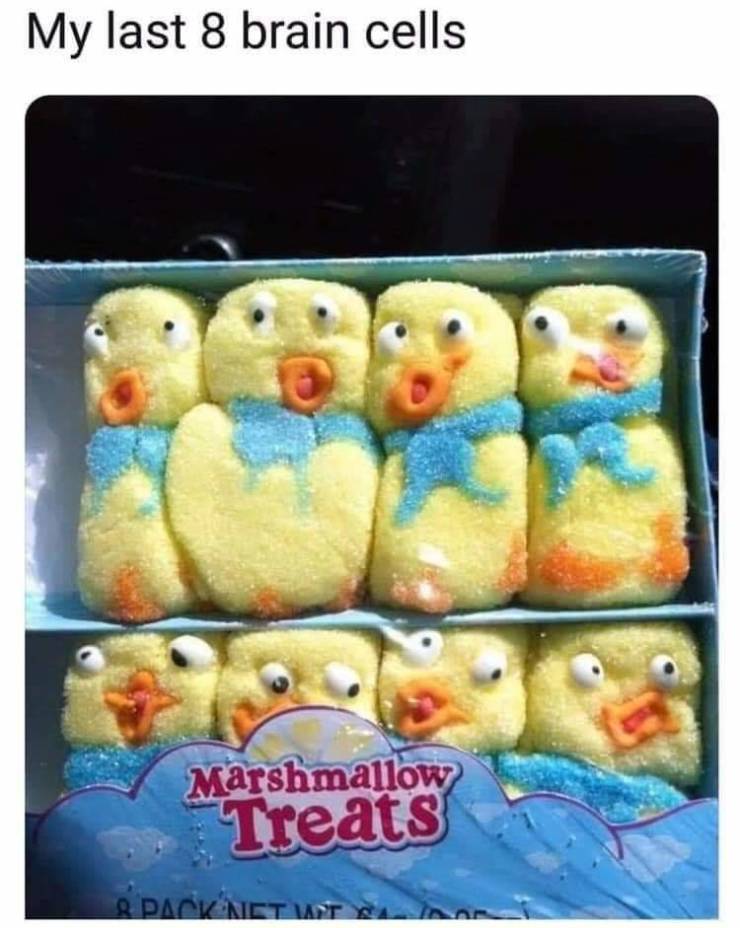 funny picdump 53 pics 13.html - 53 HD Photos | Premium Gallery 2019