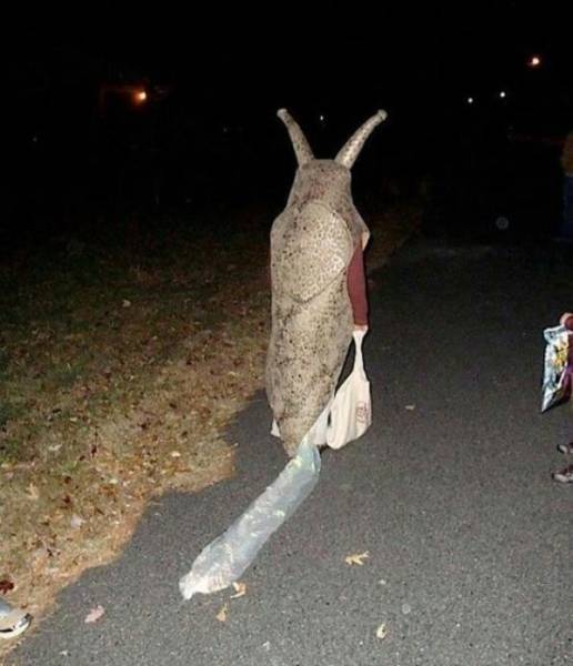 It’s Time For Awful Halloween Costumes!