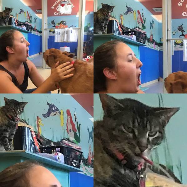 daily picdump 95 pics 5.html - 95 HD Photos | Premium Gallery 2019