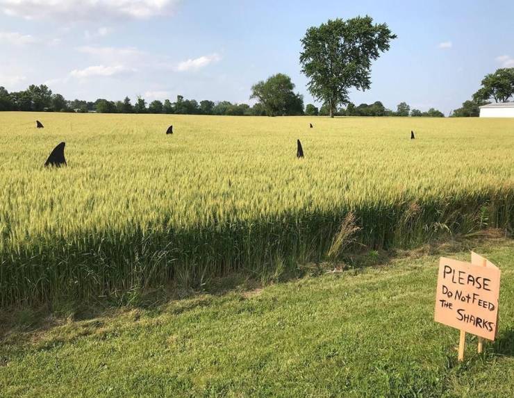 daily picdump 95 pics 5.html - 95 HD Photos | Premium Gallery 2019