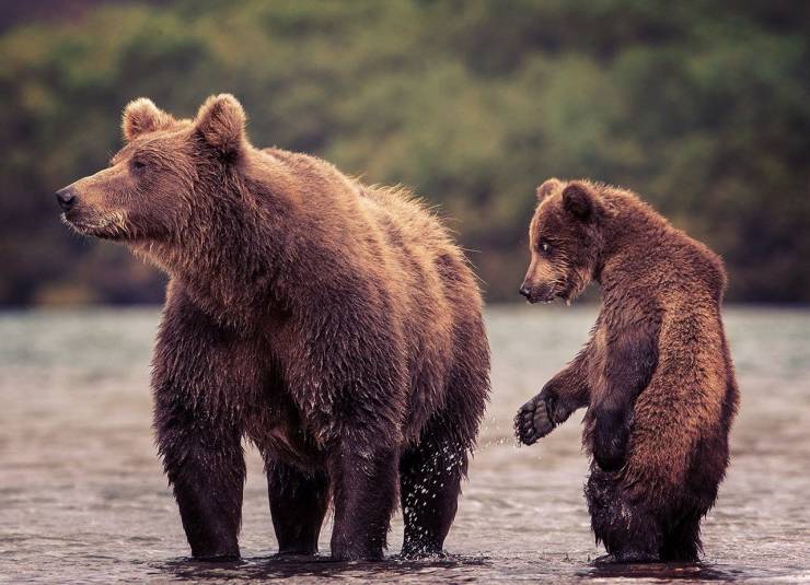 daily picdump 95 pics 5.html - 95 HD Photos | Premium Gallery 2019