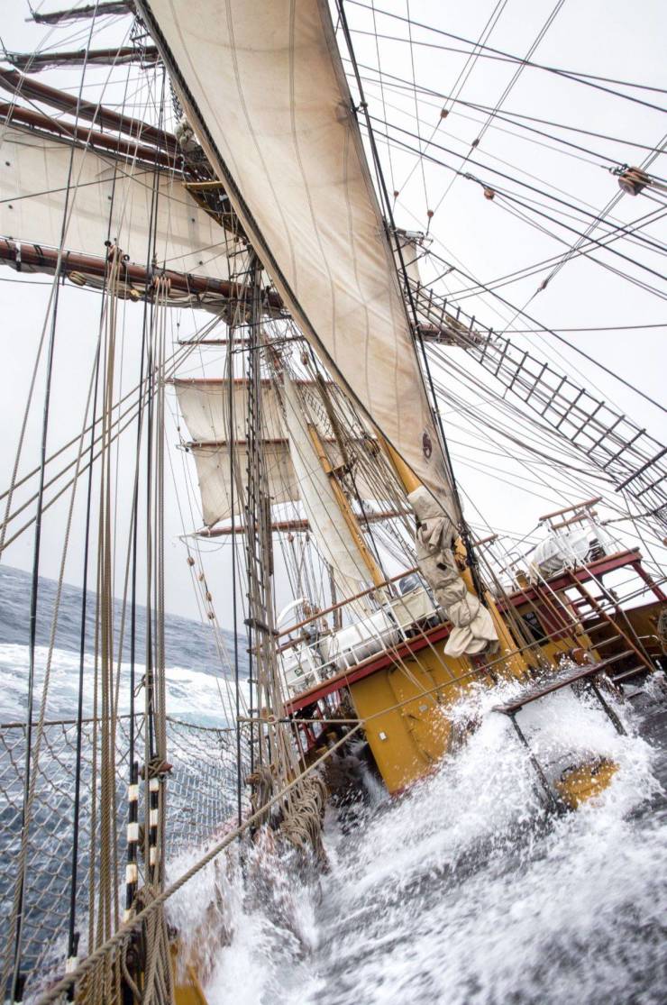 daily picdump 95 pics 5.html - 95 HD Photos | Premium Gallery 2019