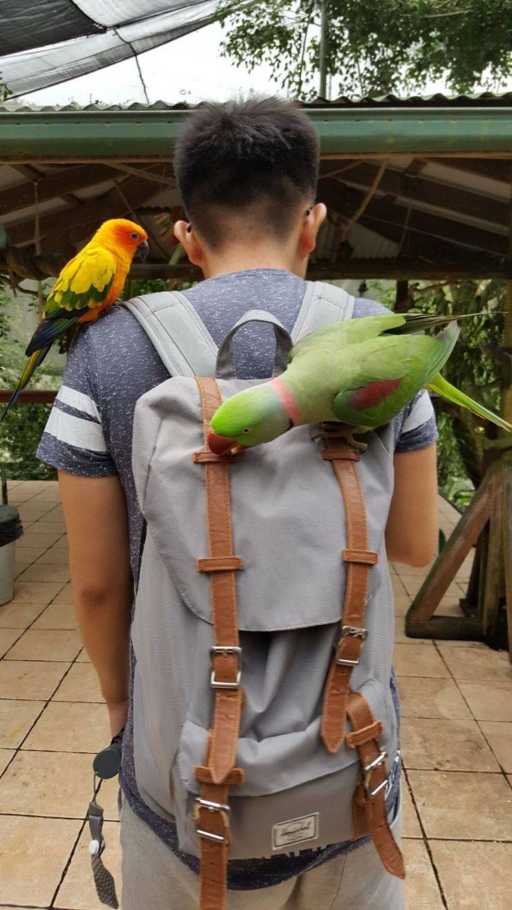 daily picdump 95 pics 5.html - 95 HD Photos | Premium Gallery 2019