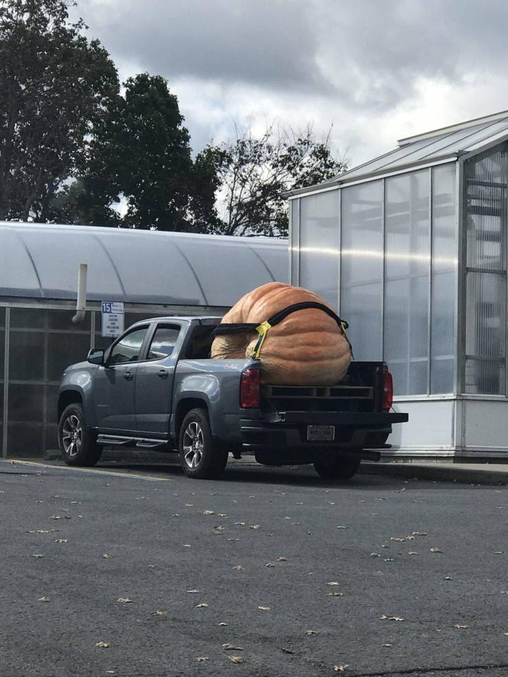 daily picdump 95 pics 5.html - 95 HD Photos | Premium Gallery 2019