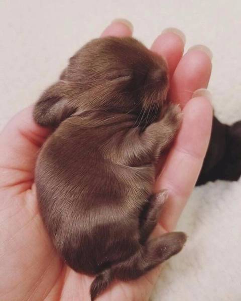 page,9,top 250 morning pics of the year 2019.html - 1 HD Photos | Premium Gallery 2019