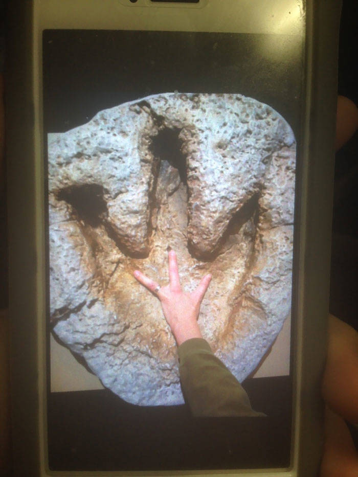 These Teachers Are The Best!