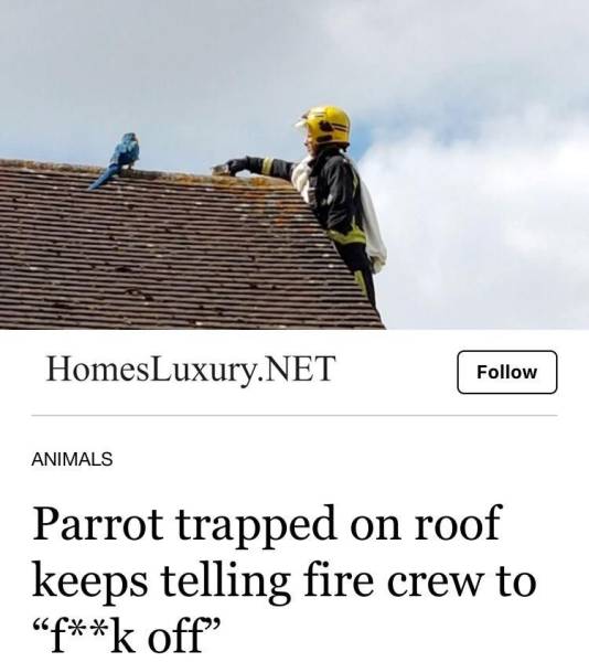 page,28,top 750 daily pics of the year 2019.html - 1 HD Photos | Premium Gallery 2019