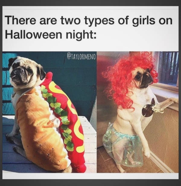 Different Girls – Different Halloween Costumes