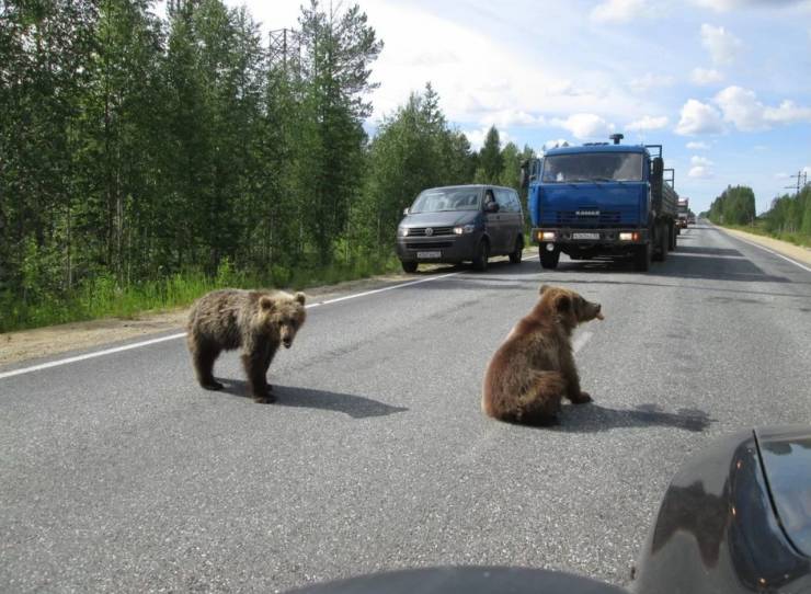 Daily Picdump