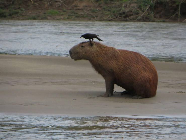 daily picdump 92 pics 3.html - 92 HD Photos | Premium Gallery 2019
