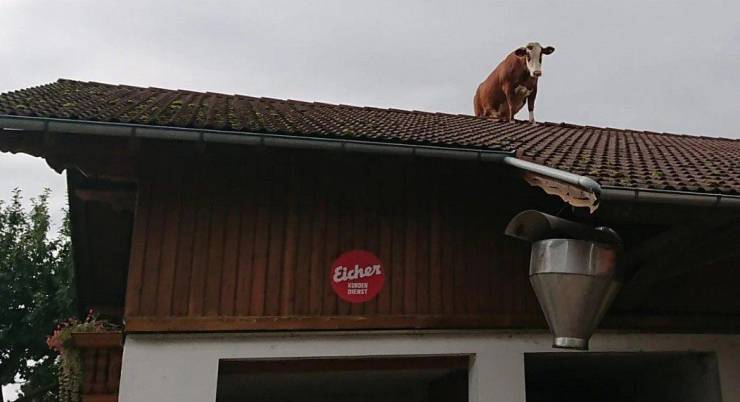 daily picdump 92 pics 3.html - 92 HD Photos | Premium Gallery 2019