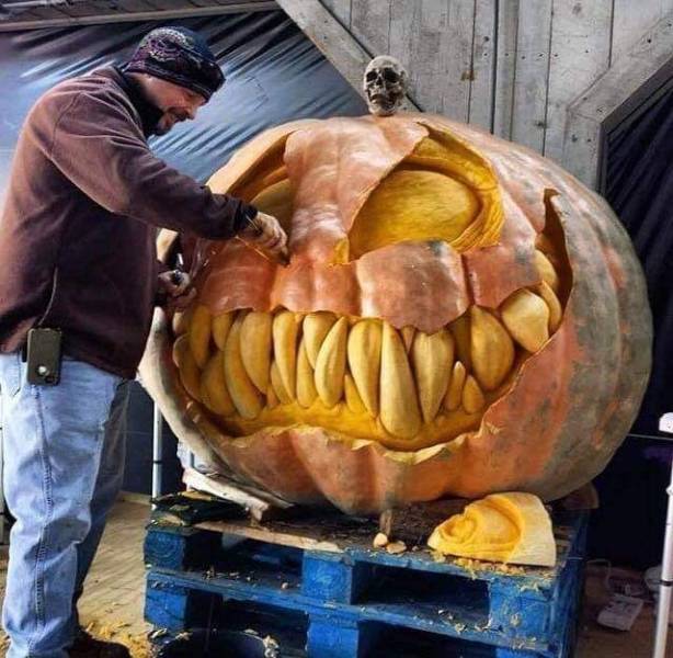 daily picdump 92 pics 3.html - 92 HD Photos | Premium Gallery 2019