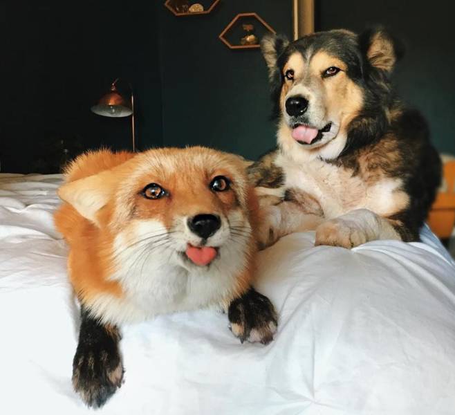 daily picdump 92 pics 3.html - 92 HD Photos | Premium Gallery 2019
