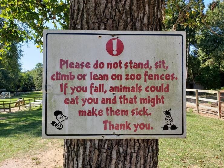 daily picdump 92 pics 3.html - 92 HD Photos | Premium Gallery 2019
