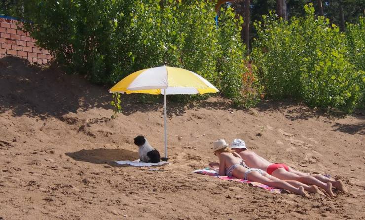 daily picdump 92 pics 3.html - 92 HD Photos | Premium Gallery 2019