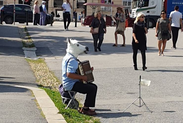 daily picdump 92 pics 3.html - 92 HD Photos | Premium Gallery 2019