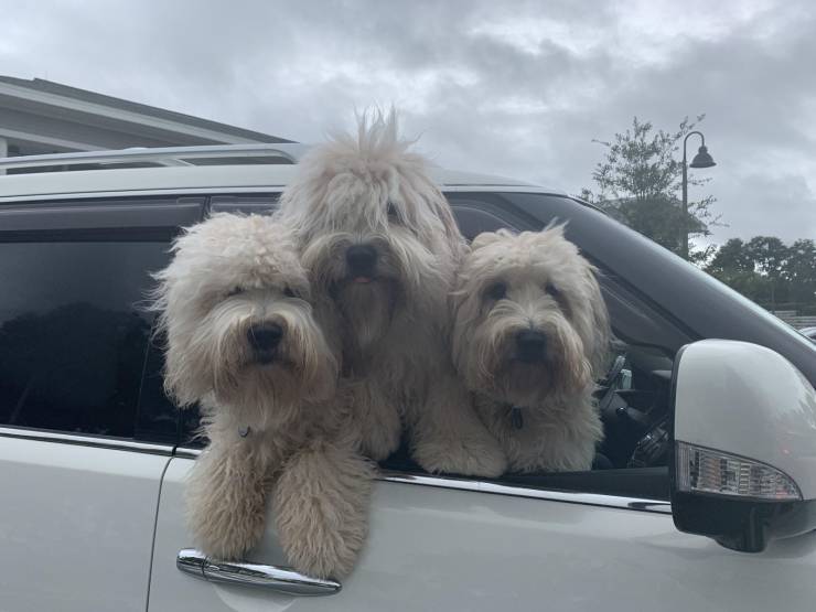 daily picdump 92 pics 3.html - 92 HD Photos | Premium Gallery 2019