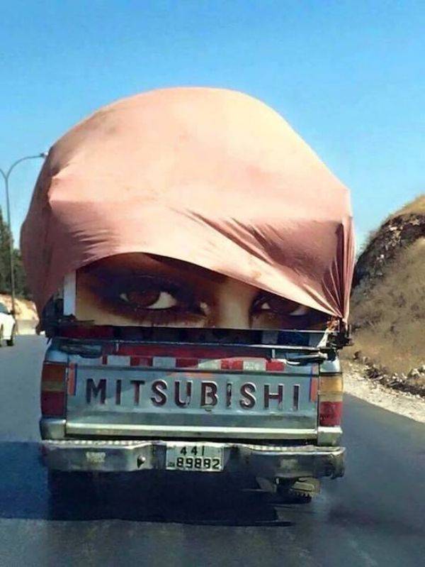 Daily Picdump