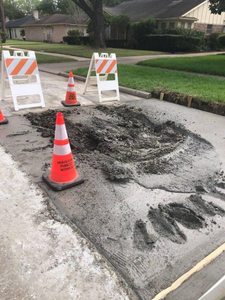 daily picdump 92 pics 3.html - 92 HD Photos | Premium Gallery 2019