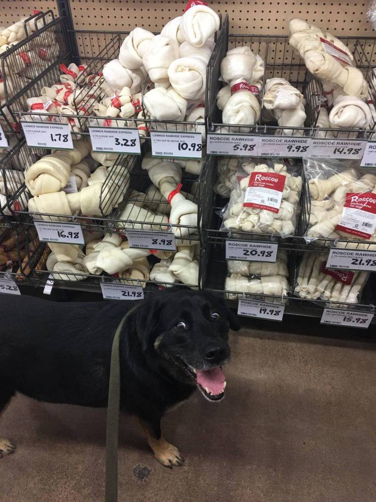 daily picdump 92 pics 3.html - 92 HD Photos | Premium Gallery 2019