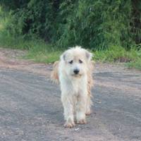 suddenly video.html - 1 HD Video | Premium Gallery 2020