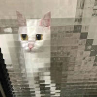 this punch bag is your ex video.html - 1 HD Video | Premium Gallery 2020