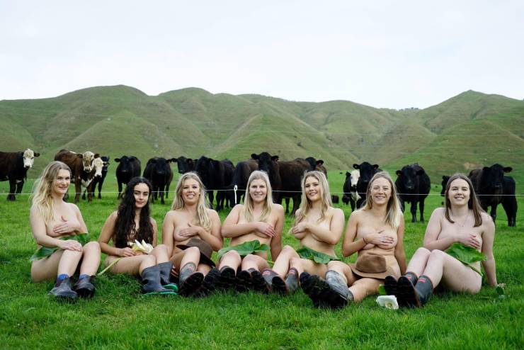 grownup corner 66 pics 20.html - 66 HD Photos | Premium Gallery 2019