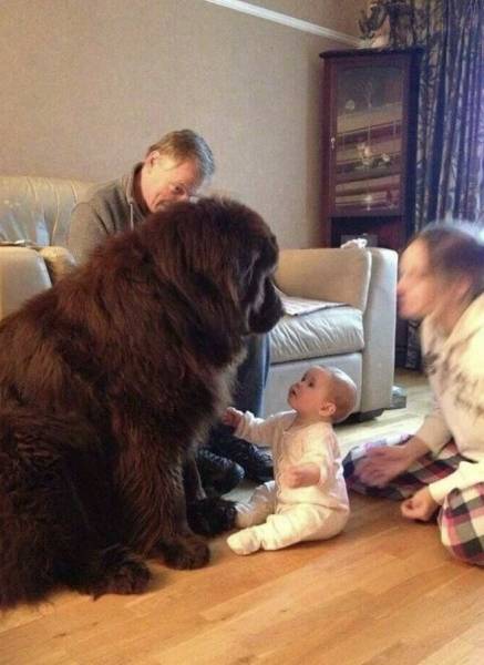 page,9,top 250 morning pics of the year 2019.html - 1 HD Photos | Premium Gallery 2019