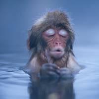 tan lines are the summers secrets 49 pics.html - 49 HD Photos | Premium Gallery 2020