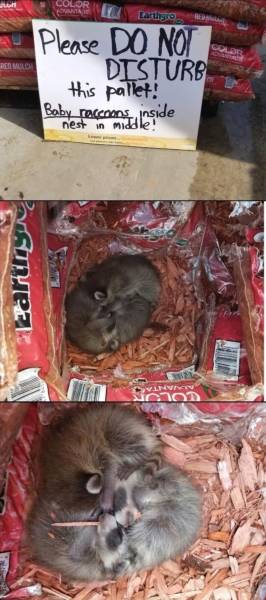 page,28,top 750 daily pics of the year 2019.html - 1 HD Photos | Premium Gallery 2019