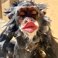 sexy celebs who decided to change how they look 18 pics.html - 18 HD Photos | Premium Gallery 2020