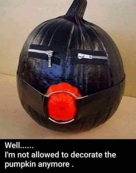 page,10,top 250 funny pics of the year 2019.html - 1 HD Photos | Premium Gallery 2019