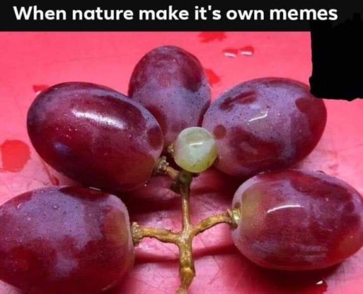 Dirty Mind, Come Here!