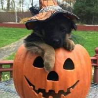 where can you hide one million dollars cash 13 pics.html - 13 HD Photos | Premium Gallery 2011