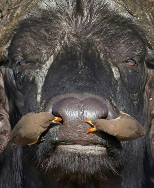 page,10,top 250 morning pics of the year 2019.html - 1 HD Photos | Premium Gallery 2019