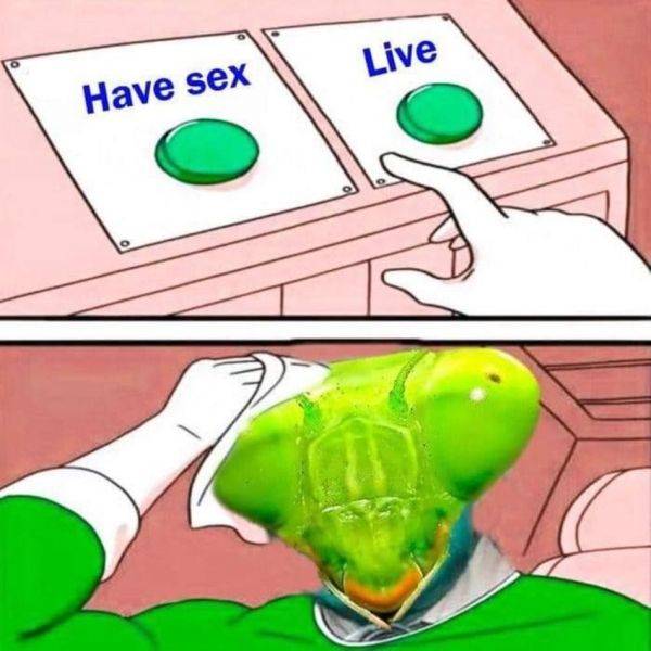 Dirty Mind, Come Here!